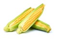 Fresh organic corn cob isolated on white background Royalty Free Stock Photo