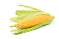 Fresh organic corn cob isolated on white background Royalty Free Stock Photo