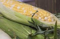 Fresh organic corn on the cob Royalty Free Stock Photo