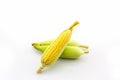 Fresh organic corn Royalty Free Stock Photo