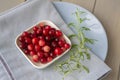 Fresh organic cranberries of forest in bowl on wooden background. Russian healthy cuisine Royalty Free Stock Photo