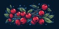 Fresh Organic Cranberry Berry Horizontal Trendy Illustration.