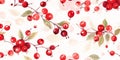 Fresh Organic Cranberry Berry Horizontal Watercolor Illustration. Royalty Free Stock Photo