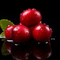 Fresh Organic Cranberry Berry Square Illustration. Royalty Free Stock Photo