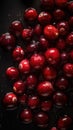 Fresh Organic Cranberry Berry Vertical Background. Royalty Free Stock Photo