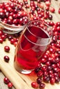 Fresh Organic Cranberry Juice Royalty Free Stock Photo