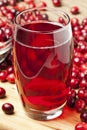 Fresh Organic Cranberry Juice Royalty Free Stock Photo