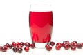 Fresh Organic Cranberry Juice