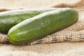 Fresh Organic Cucumber