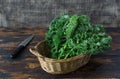 Fresh organic curly kale leaves in a basket with cook knife behind, on a brown wooden table and on a dark wooden background, gmo Royalty Free Stock Photo