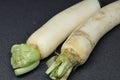 Fresh organic daikon radishes isolated on black background