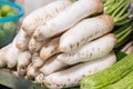 Fresh organic daikon radishes.