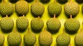 Fresh Organic Durian Fruit Horizontal Seamless Background. Royalty Free Stock Photo