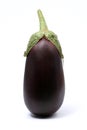 Fresh organic eggplant (aubergine) Royalty Free Stock Photo