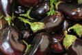 Fresh organic eggplant. Egg plant background texture Royalty Free Stock Photo