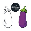 Fresh organic eggplant isolated with line art