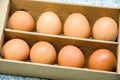Fresh organic eggs in a cardboard box Royalty Free Stock Photo