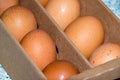 Fresh organic eggs in a cardboard box Royalty Free Stock Photo