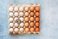Fresh organic eggs in recycled cardboard box with  rubber bands Royalty Free Stock Photo