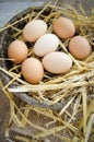 Fresh organic eggs in a wicker basket Royalty Free Stock Photo