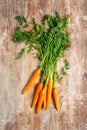Fresh organic farmer carrots bunch with green tops on wooden rustic kitchen table, top down view Royalty Free Stock Photo