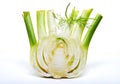 Fresh organic fennel bulb isolated on a white background Royalty Free Stock Photo