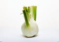 Fresh organic fennel bulb isolated on a white background Royalty Free Stock Photo
