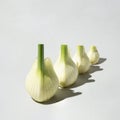 Fresh organic fennel bulbs arranged from larger to smaller isolated on a light gray background.