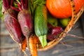 Fresh Organic Food Background Vegetables in the Basket Royalty Free Stock Photo