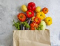 Fresh organic  food  vegetables package dinner  vegetarian seasoning  in a paper bag on a concrete background Royalty Free Stock Photo