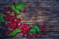 Fresh organic fruit - raspberry on wood background. Fresh organic fruit. Royalty Free Stock Photo