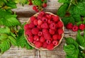 Fresh organic fruit - raspberry on wood background selective focus Royalty Free Stock Photo