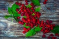 Fresh organic fruit - raspberry on wood background selective focus. Royalty Free Stock Photo