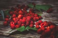 Fresh organic fruit - raspberry on wood background selective focus. Royalty Free Stock Photo