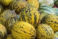 Fresh organic fruit; yellow melon market Royalty Free Stock Photo