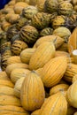 Fresh organic fruit; yellow melon market Royalty Free Stock Photo