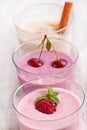 Fresh organic fruit yogurt Royalty Free Stock Photo