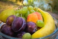 Fresh organic fruits on the plate