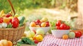Fresh organic fruits and vegetables Royalty Free Stock Photo