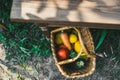 Fresh organic fruits and vegetables in a basket under wooden table in garden. Top view Royalty Free Stock Photo