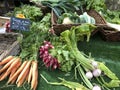 Fresh and organic fruits and vegetables at farmers market Royalty Free Stock Photo