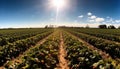 Fresh organic fruits and vegetables harvested from a landscaped farm generated by AI Royalty Free Stock Photo