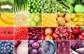 Fresh organic fruits and vegetables varietes collage