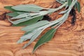 Fresh Organic Garden or Common Sage Salvia officinalis leaves on natural wood. Lamiaceae mint family. Royalty Free Stock Photo