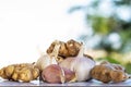 Fresh organic garlic and ginger roots isolated on white background. Royalty Free Stock Photo