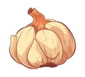 Fresh organic garlic healthy seasoning icon