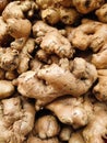 Fresh Organic Ginger Root Close-Up Royalty Free Stock Photo