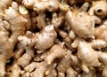 Fresh organic ginger. View from above. It a lot of spicy. Health. Spices. Lots of ginger root. Harvest ginger. Ginger root is a