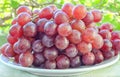 Fresh organic grapes fruit in white plate on table Royalty Free Stock Photo