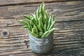 Fresh organic green beans in a metallic bowl on a rustic table